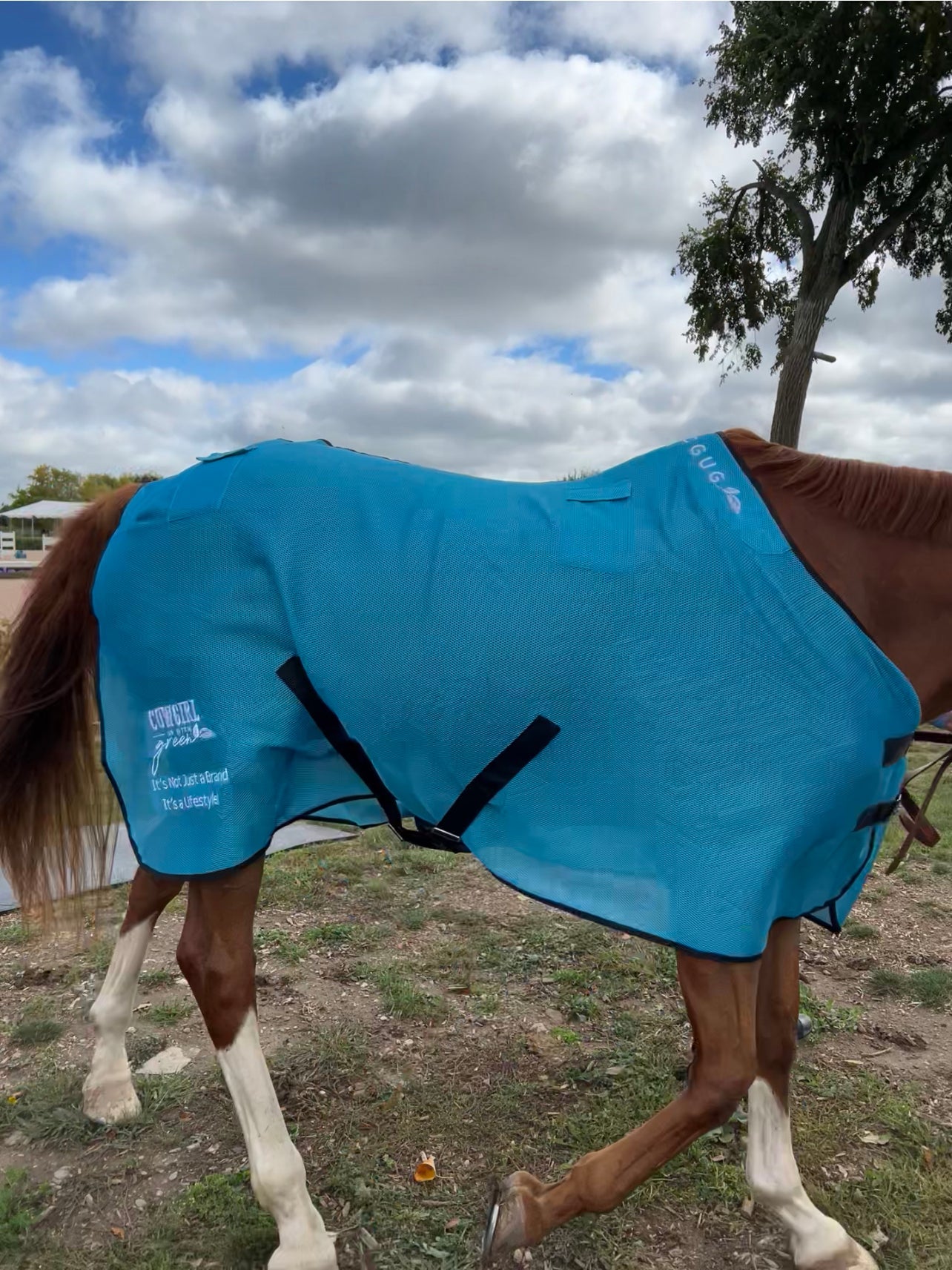 Teal My Horsey’s Got Pockets