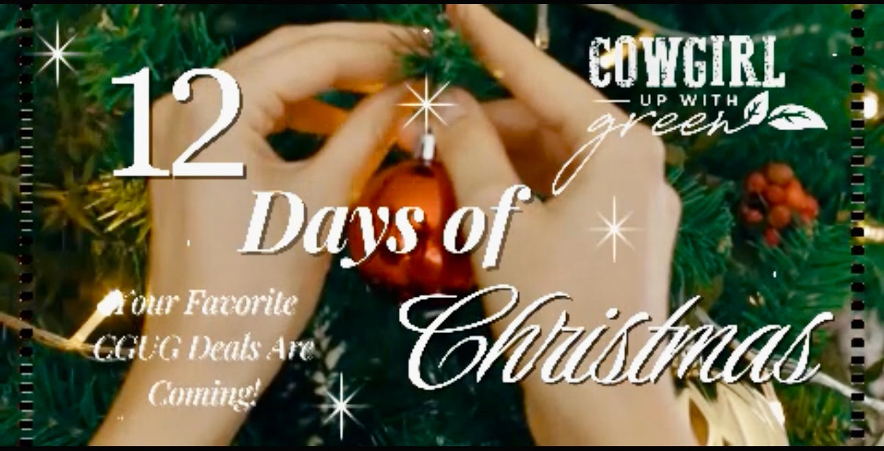 12 Days of Christmas Stocking Stuffer Deal