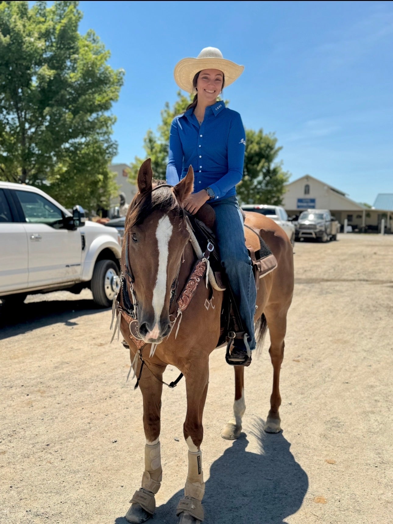 Royal Blue Perforated Western Show Shirts