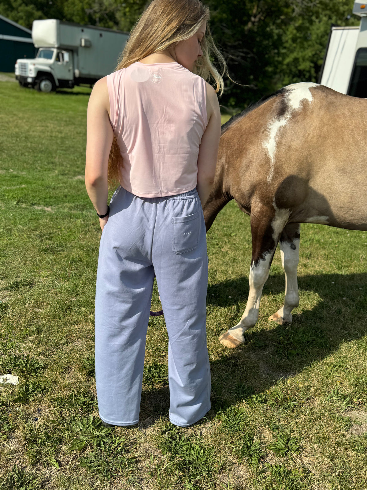 Blue Sky Stable Wide-Leg Jogger