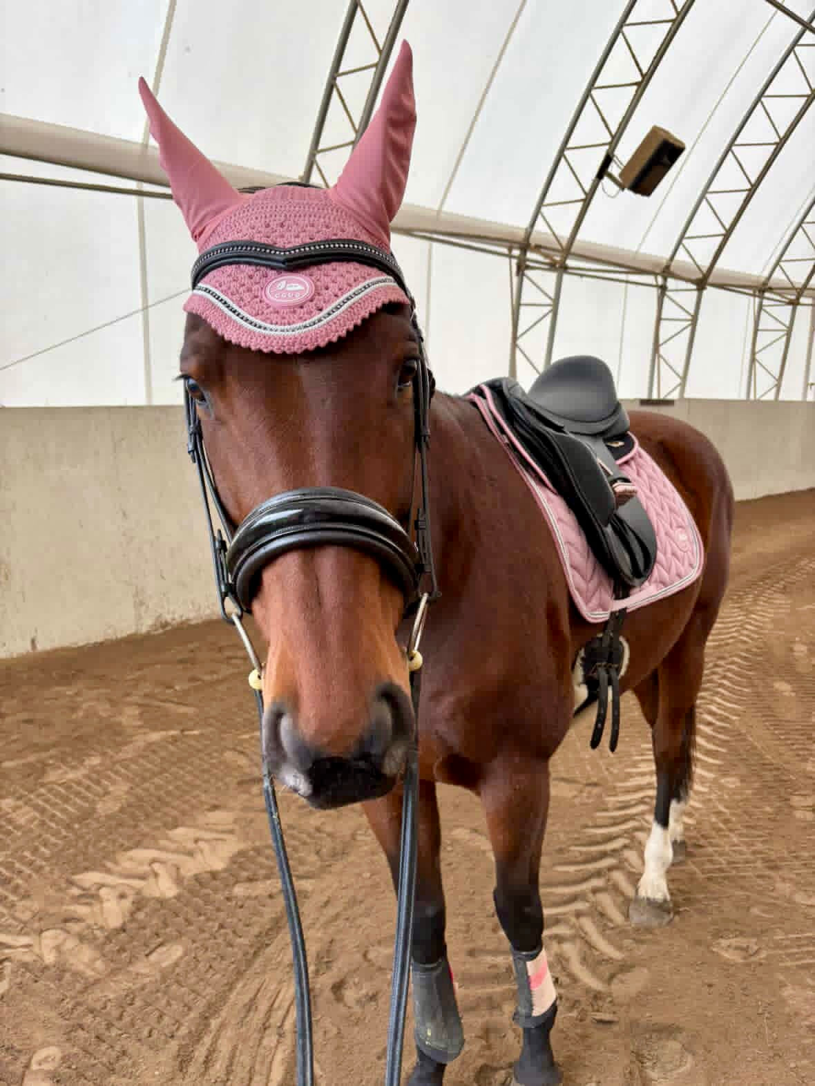 Rose Quartz Velour Bonnet