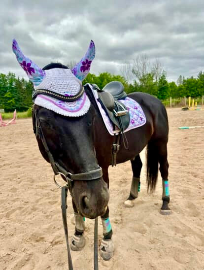 Sweet Violet Cob Dressage Saddle Pad